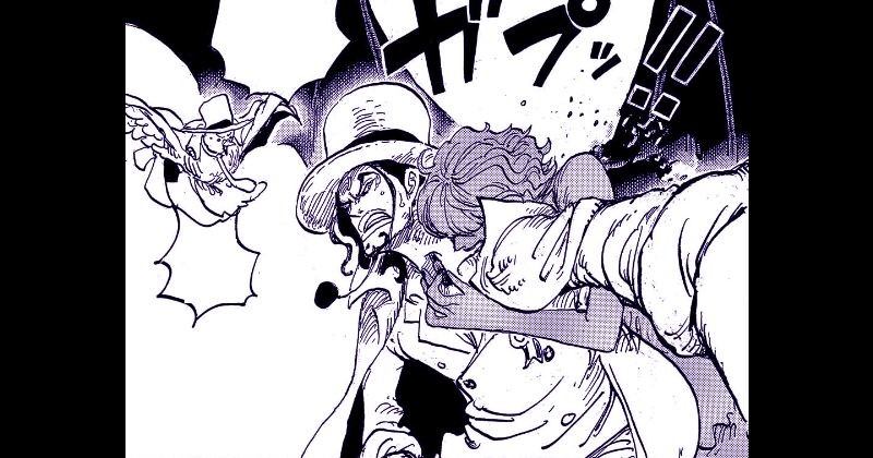 Teori One Piece: Mungkinkah Kekuatan Stussy Bukan dari Buah Iblis?