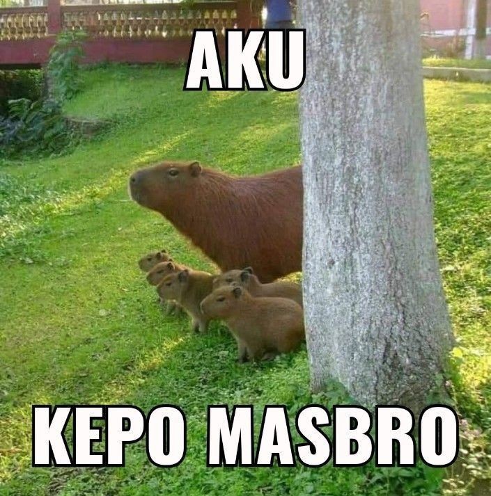 10 Meme Masbro Capybara, Tetap Santai!