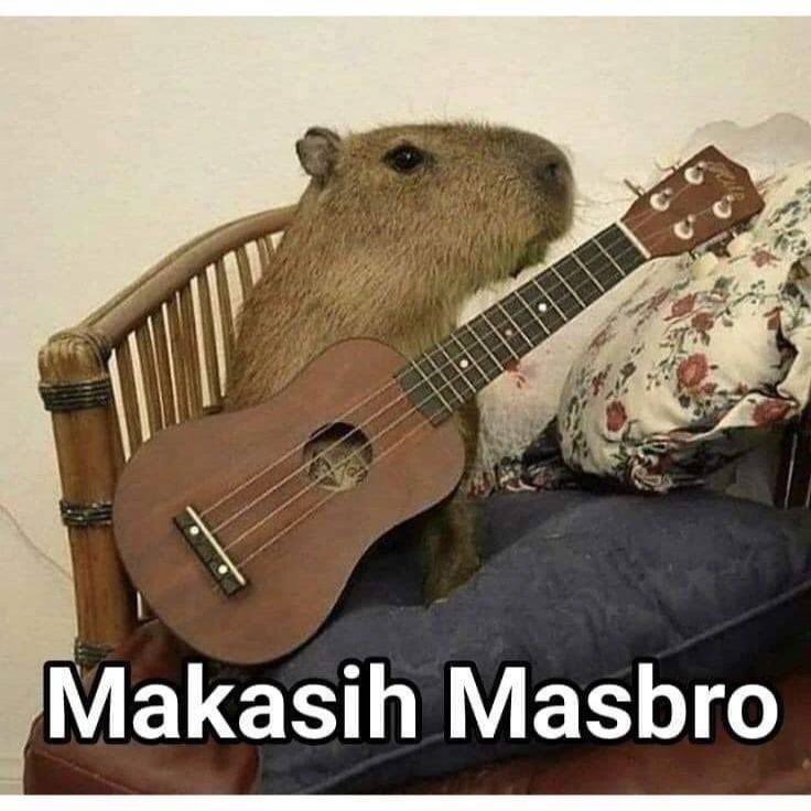 10 Meme Masbro Capybara, Tetap Santai!