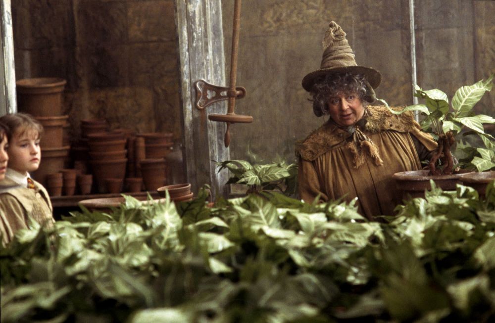 pomona sprout