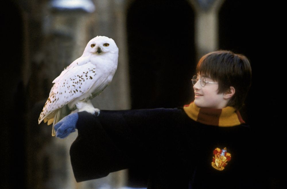 15 Misteri di Harry Potter yang Belum Terjawab Saat Ini!