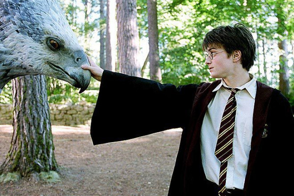10 Hewan Peliharaan Terbaik di Harry Potter, Berguna Bagi Pemiliknya!