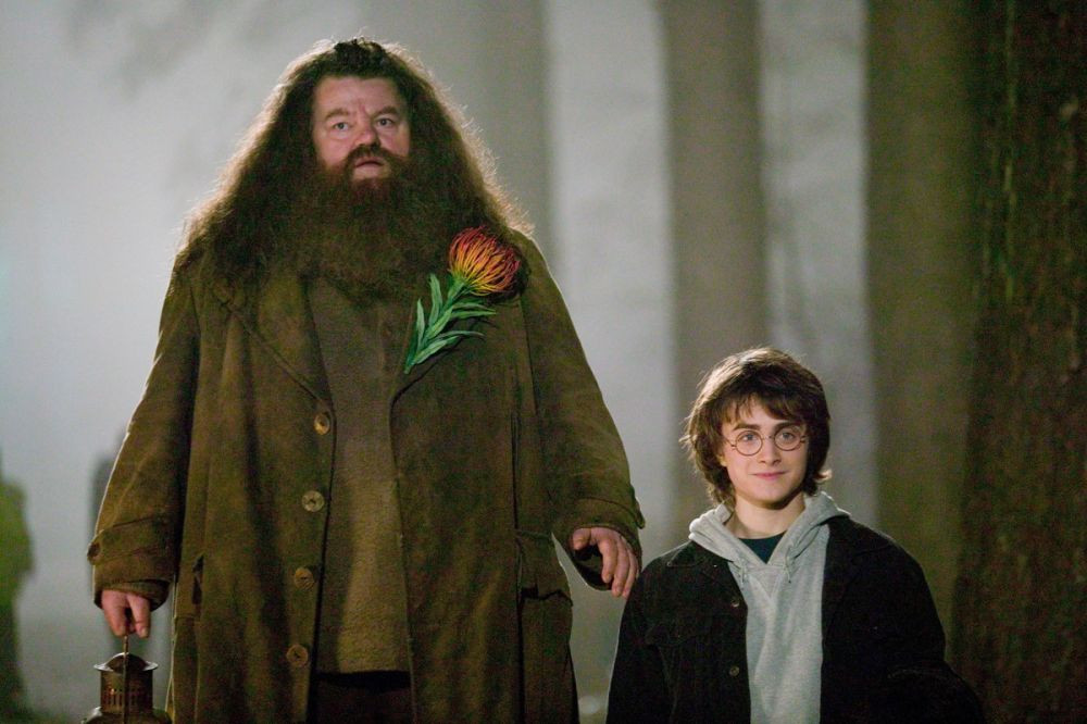 8 Teman Harry Potter Paling Loyal, Rela Bertaruh Nyawa Membantu Harry