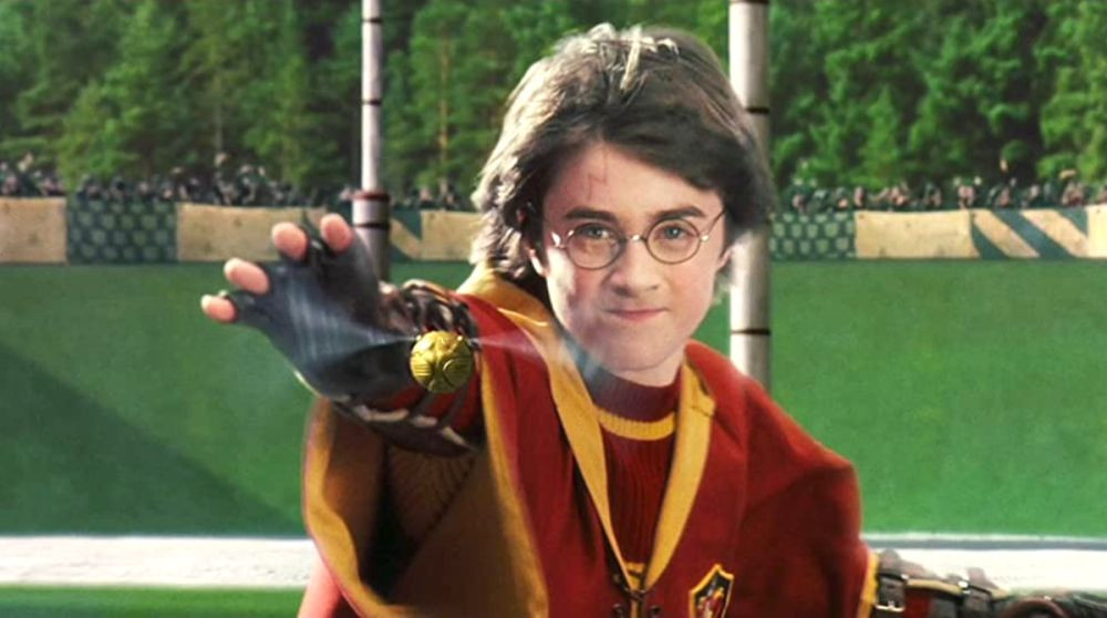 10 Pemain Quidditch Terbaik di Harry Potter, Kemampuannya Luar Biasa!