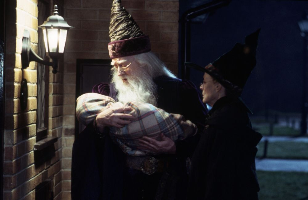 6 Trope Terbaik di Harry Potter, Menjadi Pemanis di Sepanjang Film!
