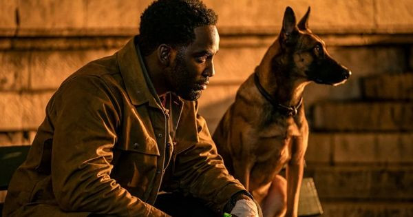 10 Fakta Tracker John Wick 4, Pelacak Terbaik