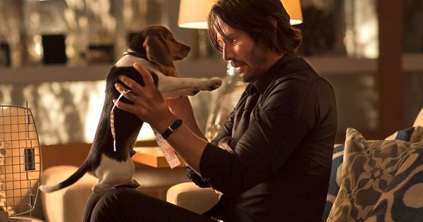 John dan Daisy -  John Wick