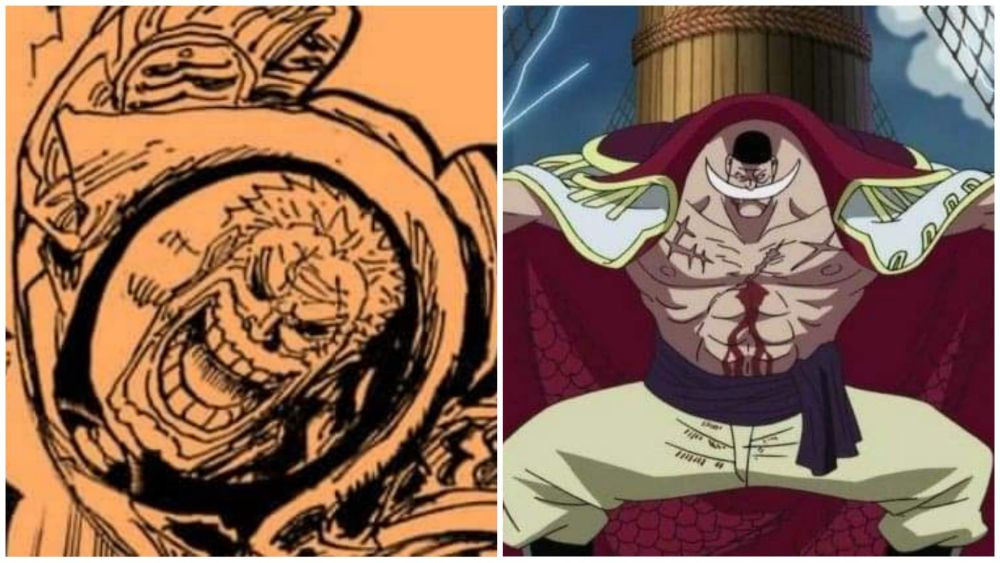 Teori: Akankah Garp Mati di Hachinosu One Piece?