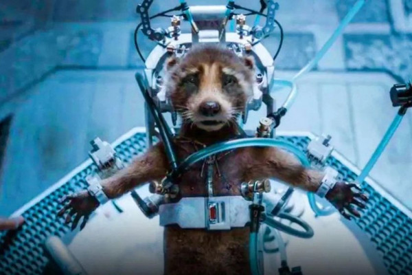 15 Momen Sedih di Film Guardians of The Galaxy Vol. 3