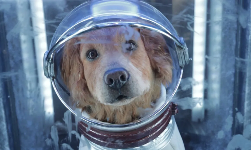 6 Fakta Cosmo The Spacedog Versi MCU