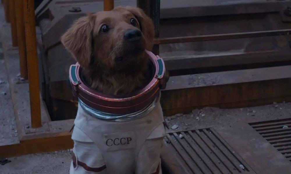 6 Fakta Cosmo The Spacedog Versi MCU, Anjing yang Bisa Telekinesis!