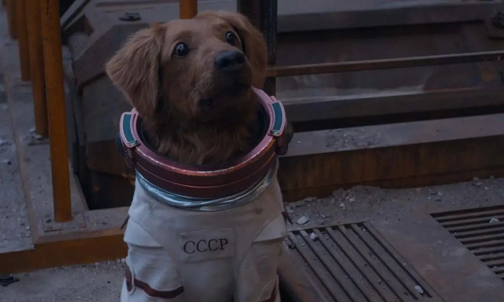 cosmo the spacedog 2.jpg