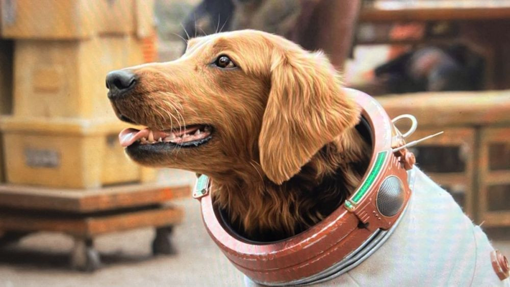 6 Fakta Cosmo The Spacedog Versi MCU, Anjing yang Bisa Telekinesis!