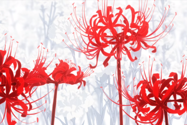 Makna Red Spider Lily dalam Anime, Bunga Kematian?