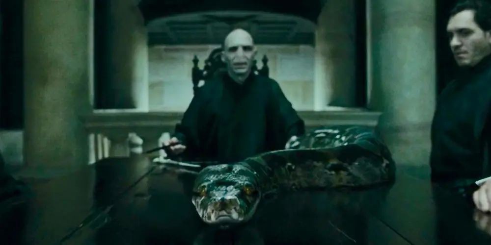 Teori: Kenapa Voldemort Tidak Punya Hidung di Harry Potter?