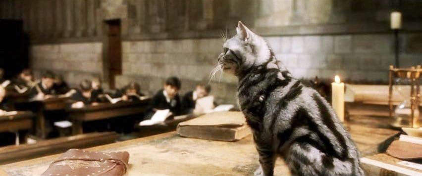 Jenis Sihir di Harry Potter, Membahayakan dan Mematikan!