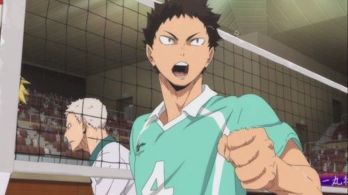 Haikyuu!! Hajime Iwaizumi