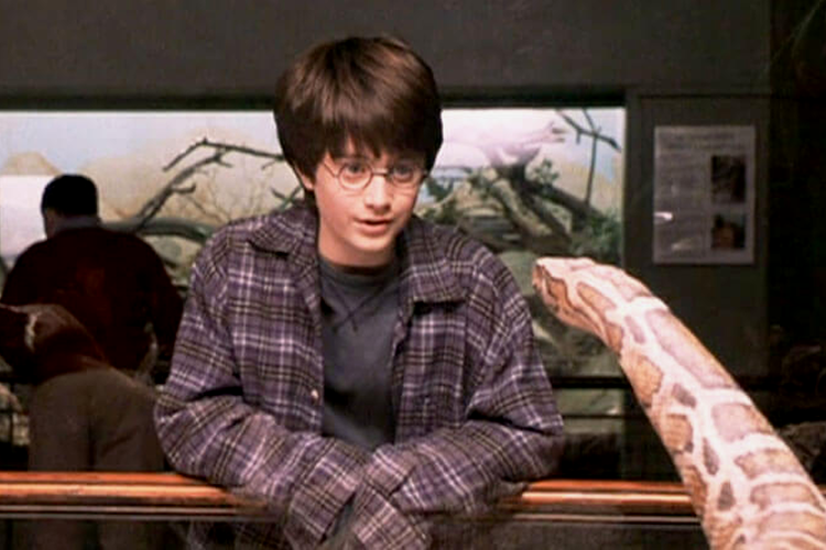 8 Urutan Film Harry Potter, Sesuai dengan Alur Cerita!