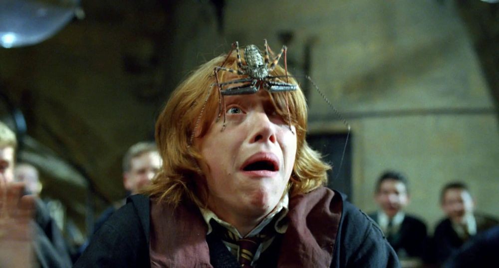 7 Fakta Ron Weasley dari Harry Potter, Pemberani dari Gryffindor!