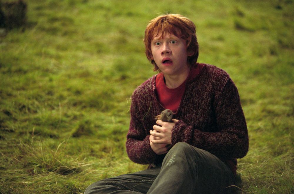 7 Fakta Ron Weasley dari Harry Potter, Pemberani dari Gryffindor!