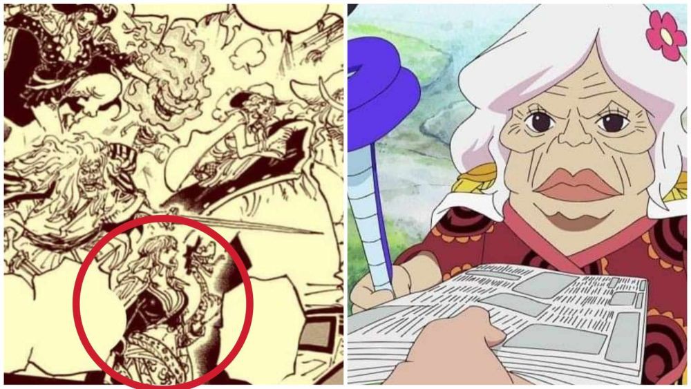 4 Ratu Amazon Lily di One Piece yang Sudah Terungkap! Hancock Termasuk