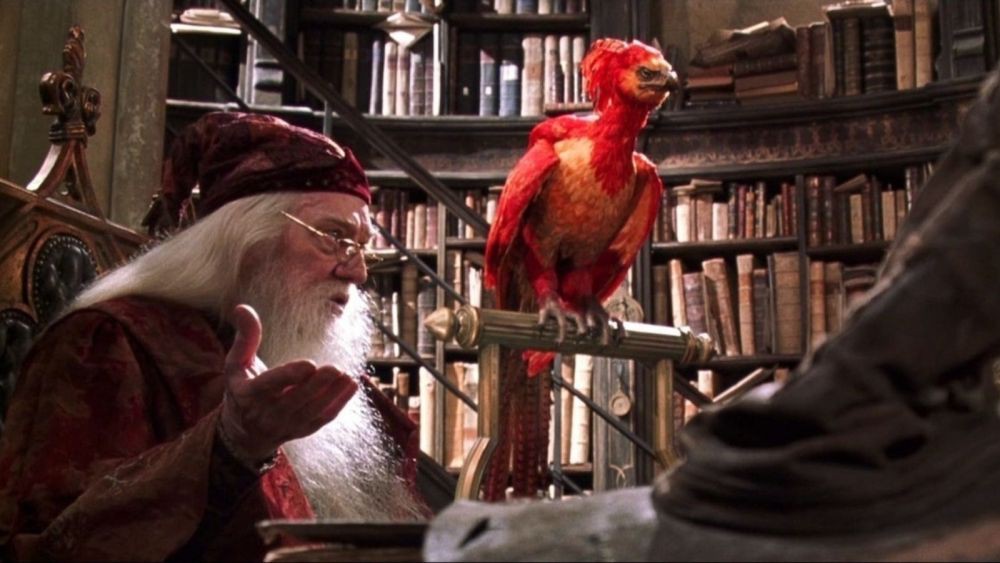 5 Fakta Fawkes, Burung Phoenix Peliharaan Albus Dumbledore!