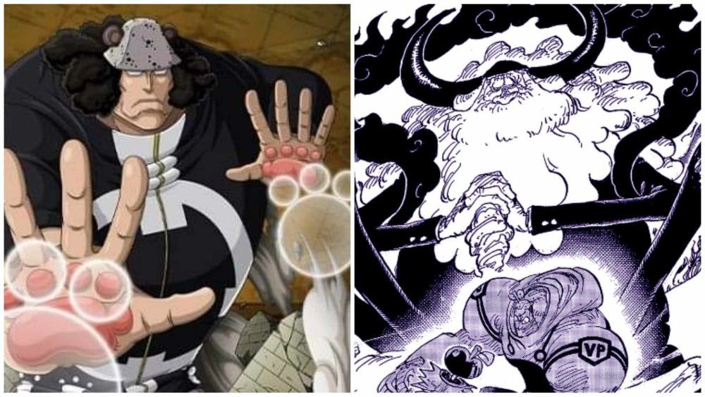 Teori: Mampukah Kuma Menghadapi Jaygarcia Saturn One Piece?
