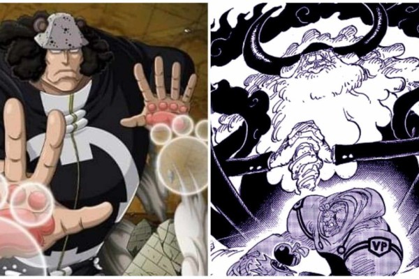 Teori: Mampukah Kuma Menghadapi Jaygarcia Saturn One Piece?