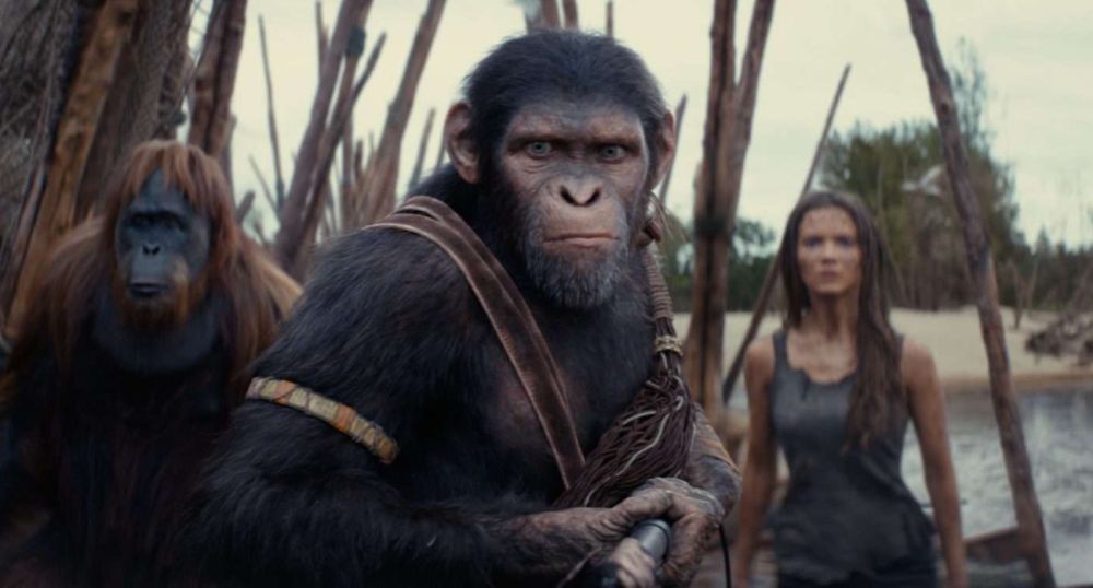 kingdom of the planet of the apes