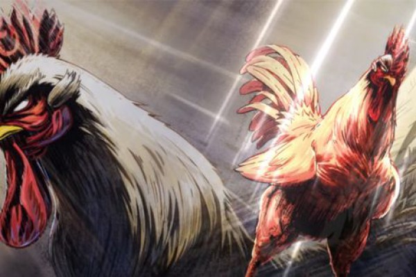 Rooster Fighter Diumumkan Resmi Diadaptasi jadi Anime!