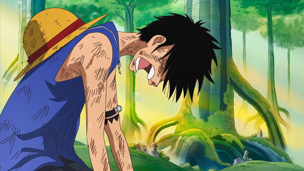 One Piece - 405