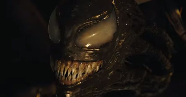 Ucapan Venom kalau ia akan bersama Eddie sampai akhir - Venom: The Last Dance