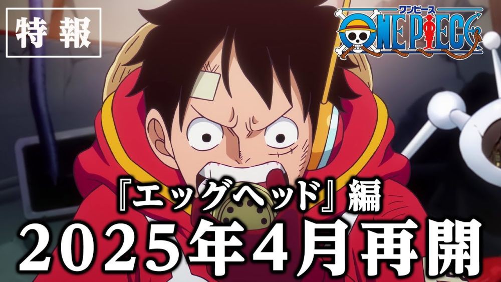 (Dok. Toei Animation/One Piece)