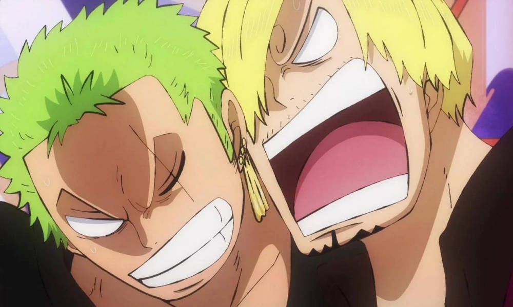 Zoro dan Sanji - One Piece