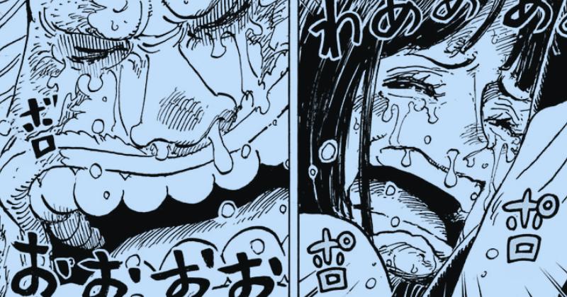 robin saul cried one piece 1133.png