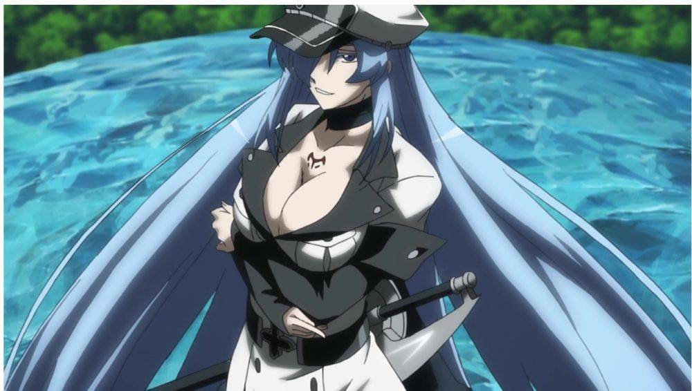 (Dok. White Fox/Akame ga Kill)