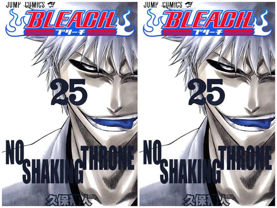 Volume 25 Bleach