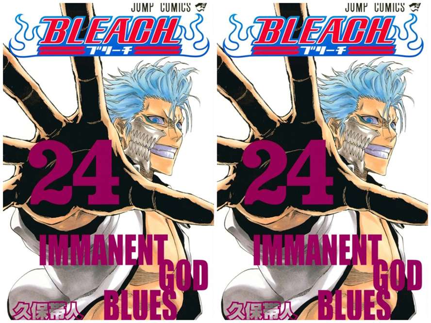 Volume 24 Bleach