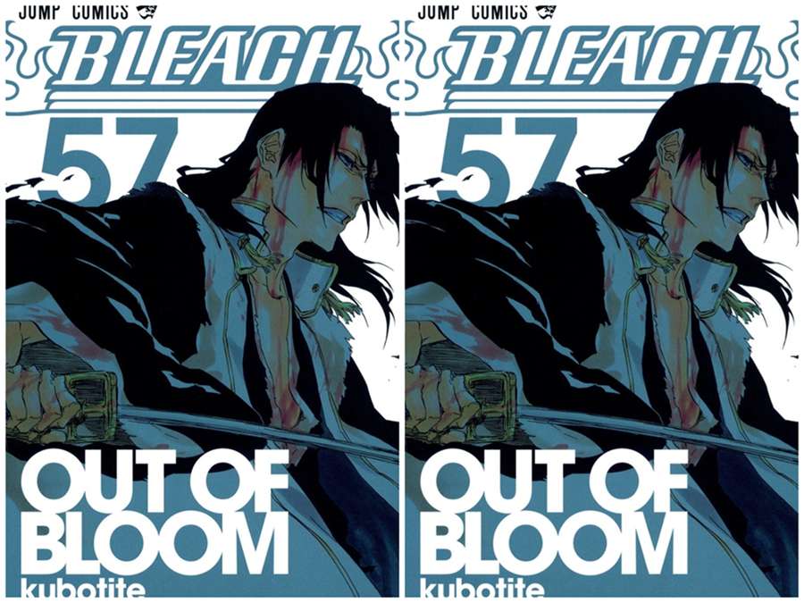 Volume 57 Bleach