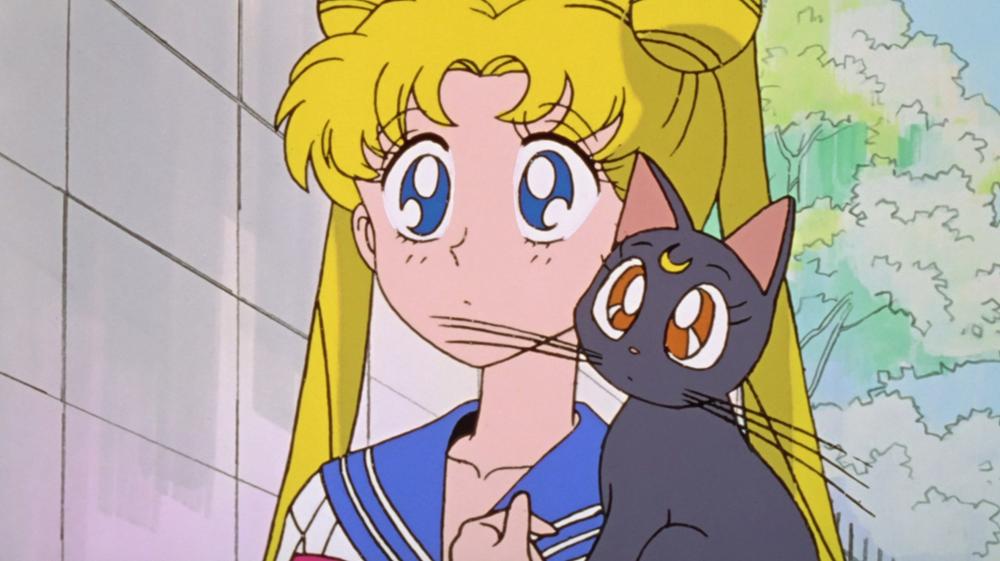 Usagi - Sailor Moon