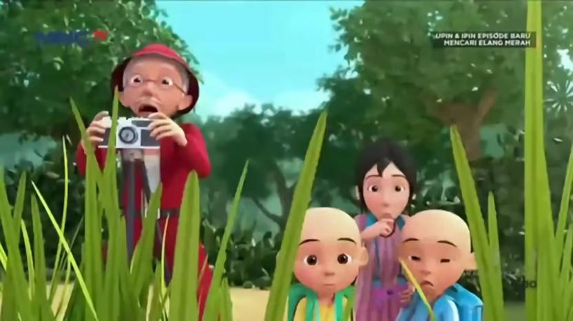 episode Mencari Elang Merah - Upin & Ipin