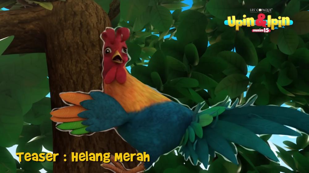 episode Mencari Elang Merah - Upin & Ipin