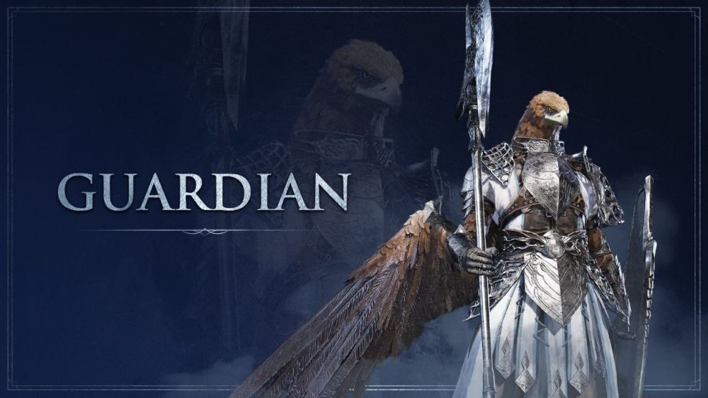 nightreign guardian.jpg