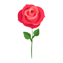 Gift Icon