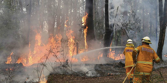 Jumlah Titik Panas di Kaltim Menurun, dari 192 Jadi 120