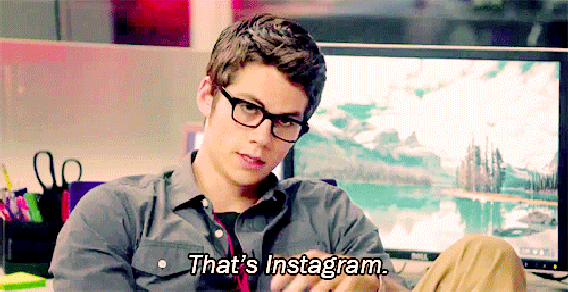 The Internship Jackaloo