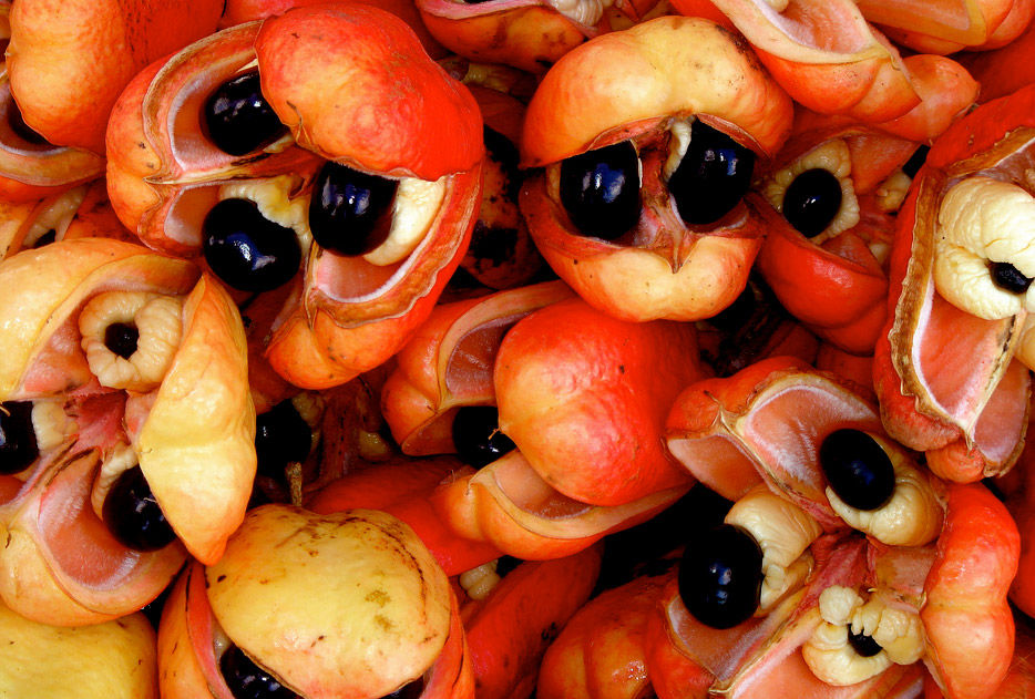 jamaica-ackee-saltfish-7-a83350b84c39066ee6f41cf8aa40d442.jpg