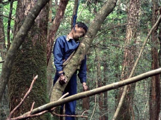 5 Fakta Seram Hutan Aokigahara, Lokasi Bunuh Diri 