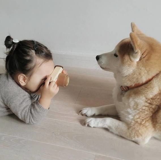Kumpulan 23 Foto Anak dan Anjingnya Ini Pasti Akan Mencerahkan Harimu!