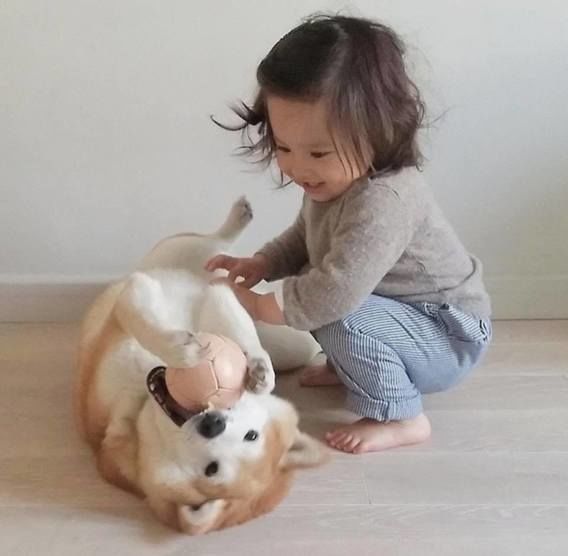 Kumpulan 23 Foto Anak dan Anjingnya Ini Pasti Akan Mencerahkan Harimu!